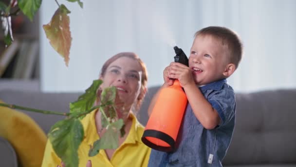 Schattig jongetje met sprayer in de hand helpt zijn moeder met kamerplanten en besprenkelt water op bloemen tijdens familie tijd thuis — Stockvideo