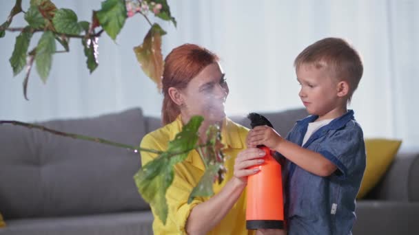 Retrato del niño varón trabajador con su lindo padre femenino rociando agua en la planta de interior desde el pulverizador, el niño sonríe y mira a la cámara — Vídeos de Stock