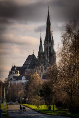 Olomouc 'taki Saint Wenceslas Katedrali, Çek Cumhuriyeti, Olomouc bölgesi, Moravya