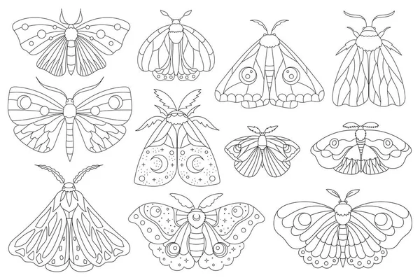 Raccolta Falena Disegnata Mano Elementi Boho Con Farfalle Decorazione Simboli — Vettoriale Stock