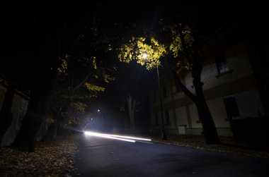 şehir