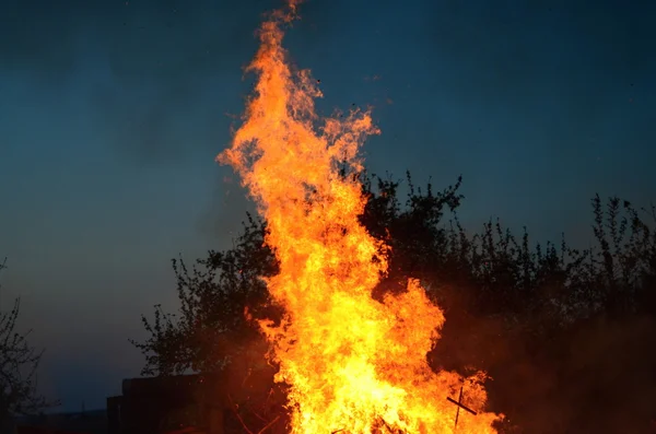 Fire — Stock Photo, Image