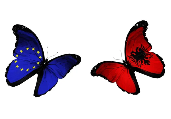 Koncept - dva motýli s Albánii a Eu vlajky vlají — Stock fotografie