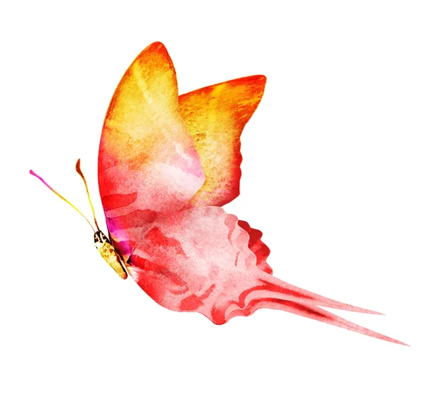 Aquarel vlinder, geïsoleerd op wit — Stockfoto