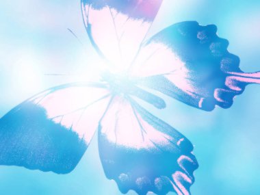 Doğal arkaplan ve doğal kelebek