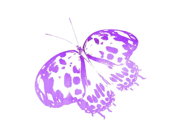 白を基調とした水彩抽象蝶 — ストック写真