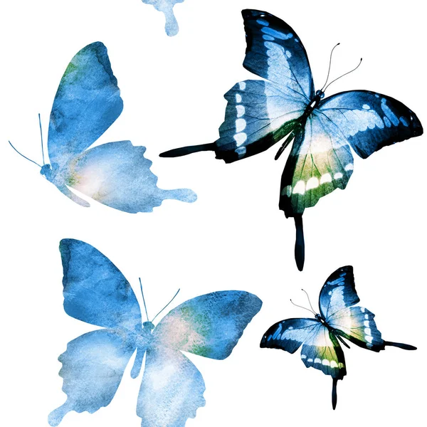 Aquarelle Motif Sans Couture Avec Des Papillons — Photo