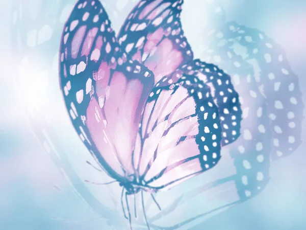 Doğal arkaplan ve doğal kelebek