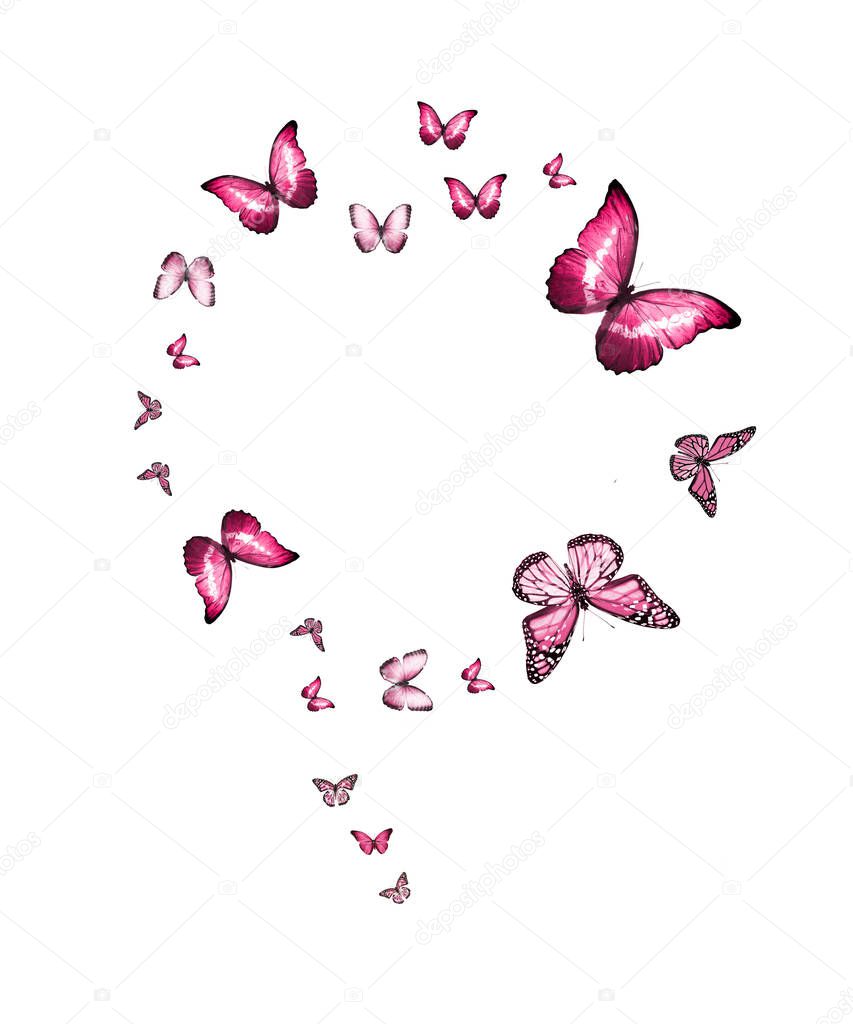 Flock of flying butterflies isolated on white