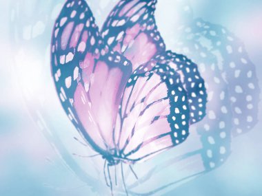 Doğal arkaplan ve doğal kelebek