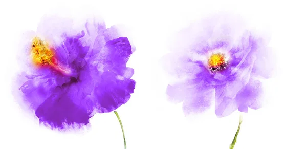 Flores Acuarela Aisladas Sobre Fondo Blanco —  Fotos de Stock