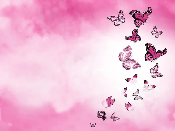 Color Sky Clouds Butterflies Background — Stock Photo, Image