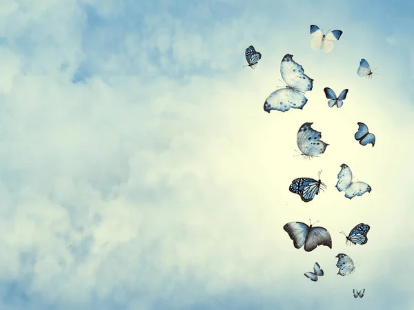 Kleur Hemel Met Wolken Vlinders Als Achtergrond — Stockfoto
