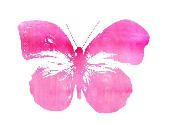 Color Watercolor Abstract Butterfly Imprint Isolated White Background — Stock Photo, Image