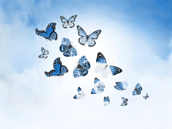 Színes Felhők Pillangók Mint Háttér — Stock Fotó