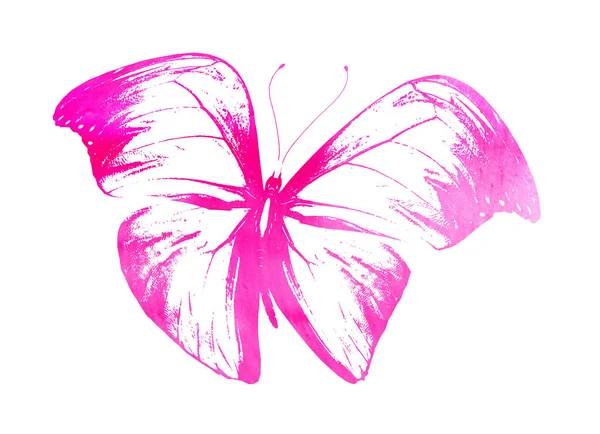 彩色水彩画蝴蝶作为印 在白色背景上隔离 — 图库照片