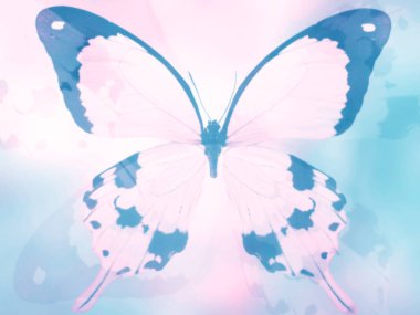 Doğal arkaplan ve doğal kelebek