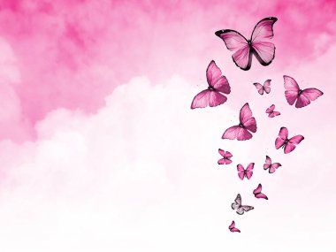 Arkaplan olarak bulutlar ve kelebekler ile gökyüzünü renklendir