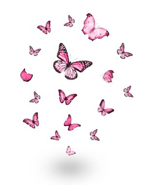 Uçan kelebek sürüsü beyazlar üzerinde izole edilmiş.