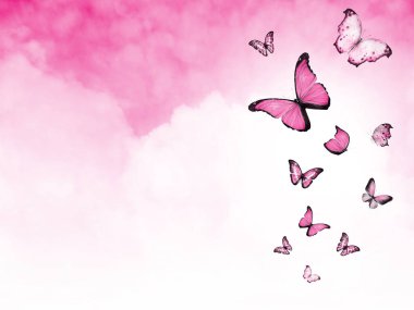 Arkaplan olarak bulutlar ve kelebekler ile gökyüzünü renklendir