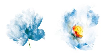 Suluboya çiçekleri, beyaz arkaplanda izole