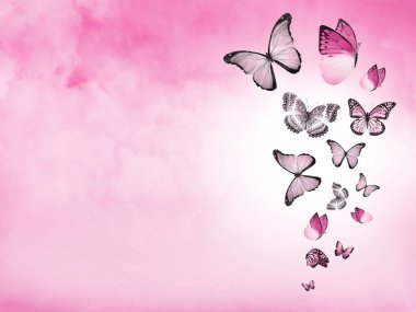 Arkaplan olarak bulutlar ve kelebekler ile gökyüzünü renklendir