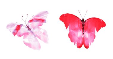 Beyaz arka planda izole edilmiş iki suluboya kelebek. Parlak koleksiyon.