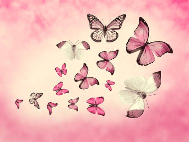 Arkaplan olarak bulutlar ve kelebekler ile gökyüzünü renklendir