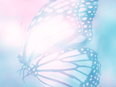 Doğal arkaplan ve doğal kelebek