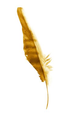 Suluboya tüyleri, beyaz arkaplanda izole