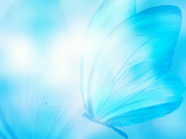 Естественный фон с натуральной бабочкой