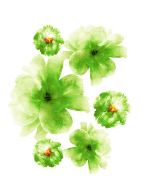 Grup olarak suluboya çiçekler, beyaz arkaplanda izole