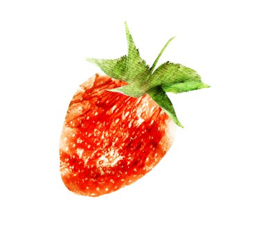 Beyaz arkaplanda suluboya Çilek