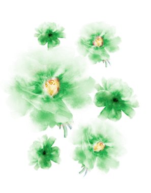 Grup olarak suluboya çiçekler, beyaz arkaplanda izole