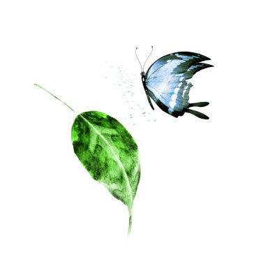 Beyaz arka planda kelebek olan suluboya yaprak