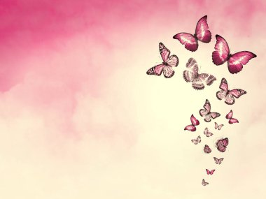 Arkaplan olarak bulutlar ve kelebekler ile gökyüzünü renklendir