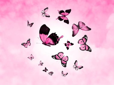 Arkaplan olarak bulutlar ve kelebekler ile gökyüzünü renklendir