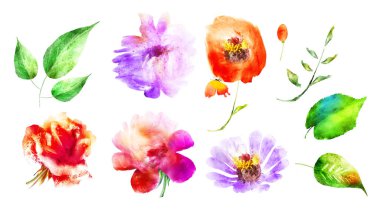 Beyaz arka planda izole edilmiş suluboya çiçekler ve yapraklar. Ayarla