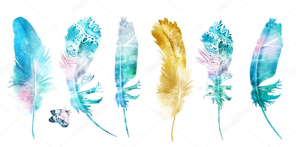 Watercolor feathers with butterfly, isolated on white background. Set