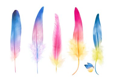 Beyaz arka planda izole edilmiş, küçük kelebekli kuş tüyleri koleksiyonu. Ayarla