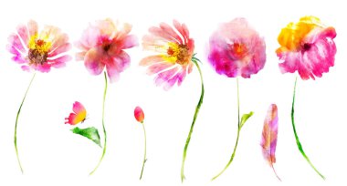 Suluboya çiçekleri, kelebek; tomurcuk ve tüy beyaz arka planda izole edilmiş. Ayarla