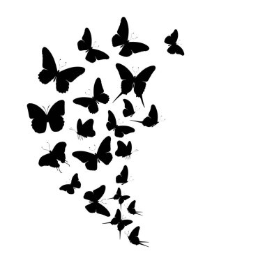 Beyaz arka planda siyah kelebek sürüsü