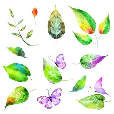 Beyaz arka planda izole edilmiş suluboya yapraklar ve kelebekler. Ayarla