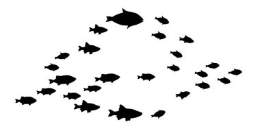 Beyaz üzerine balık gruplarının siluetleri. Vektör
