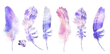 Beyaz arka planda izole edilmiş, kelebekli suluboya tüyler. Ayarla