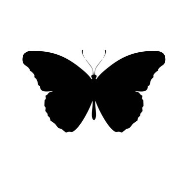 Kelebek simgesi, beyaz arkaplanda izole