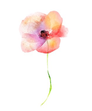 Beyaz arkaplanda izole edilmiş suluboya çiçeği