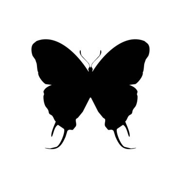 Kelebek vektör simgesi, beyaz üzerinde izole
