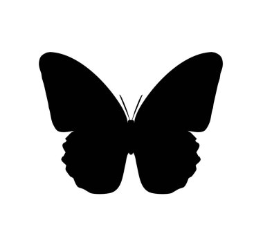 Kelebek simgesi, beyaz arkaplanda izole