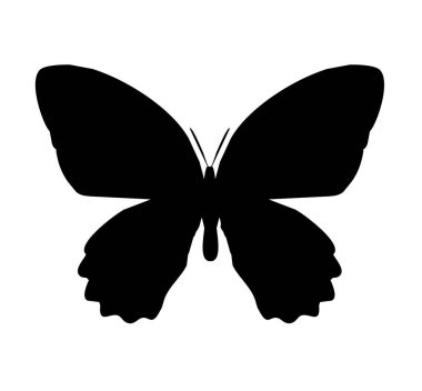 Kelebek simgesi, beyaz arkaplanda izole